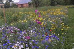 IMG_20200727_140528