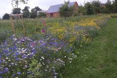IMG_20200727_140551