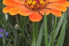 IMG_20200727_141025
