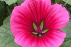 IMG_20200727_141545
